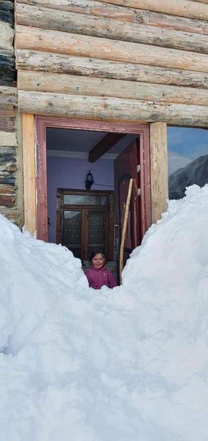 Guesthouse Svanuri Sakhli Ushguli Exterior foto