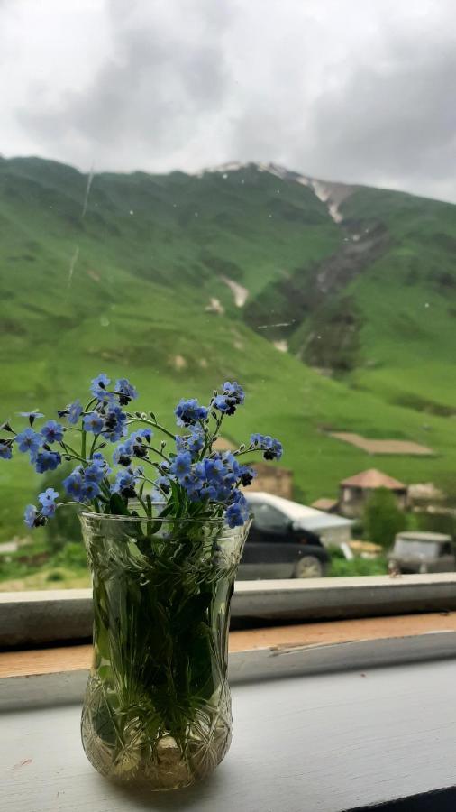 Guesthouse Svanuri Sakhli Ushguli Exterior foto